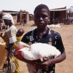 Burkina Faso, ragazzino che vende un gallo nel giorno del mercato a Nanorò