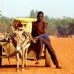 Burkina Faso, ragazzino con carretto che si reca al pozzo a prendere l'acqua al villaggio di Nanorò