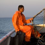 europe, croatia, fisherman at work while pulling the nets on board the vessel